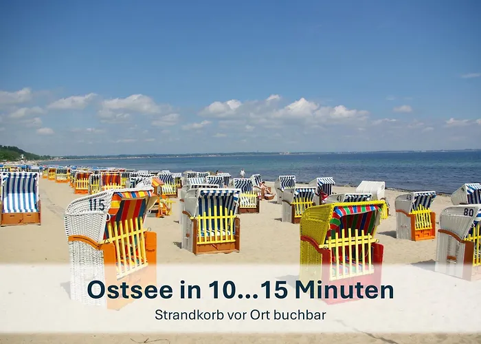 - Johanna * زيمبين